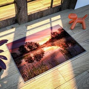 Giant Floor Low Pile Rugs for Indoor - 20" x 30" Non Slip Washable Mat - Perfect as Indoor Kitchen mats, Doormats, Bathroom mats & More! | Rubber Backed mat Made with Polyester