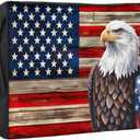 DecorLovee American Flag Outdoor TV Cover 48 to 50 Inches Weatherproof & Waterproof, Vintage Blue Red USA Flag Outdoor TV Enclosure with Remote Control Pocket, Eagle TV Screen Protectors for TV