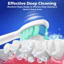 Replacement Heads for Philips Sonicare Electric Toothbrush, Brush Head Compatible with Sonicare G3 C3, 8PCS (Blue&Green, Medium)