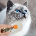 Cloud Cat Brush, 3-in-1 Self-Cleaning Cat Brush Steam Pet Brush with 360 Rotating Arm Cat Hair Steamy Brush Dog Steam Brush for Shedding Best Steam Brush for Pet Cat Dog (Khaki)