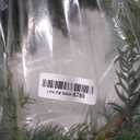 Sullivans Christmas Garland, 5 Ft Arborvitae Garland, Snow Frosted Greenery Garland Indoor Holiday Décor, Perfect for Fireplace Mantle, Weddings, Dining and Living Rooma