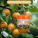 Wasp Trap Outdoor Hanging, Solar Powered Bee Trap Hornets Yellow Jacket Traps Reusable, Bee Wasp Catcher for Garden Patio Yard Orchard, 1 Pack