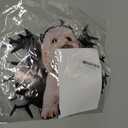 Cute Dog Stickers for Car Window Decals Waterproof Funny Sticker (Goldendoodle Car Sticker)