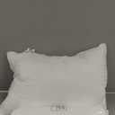 COZSINOOR Goose Feather Pillows Queen Size Set of 2 - Hotel Down Bed Pillow for Sleeping, Soft 600 TC Cotton Cover, Fluffy Support Surround Fill Down Alternative for Back, Stomach, Side Sleepers