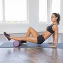 Day 1 Fitness High Density Muscle Foam Rollers - Sports Massage Rollers for Stretching, Physical Therapy, Deep Tissue, Myofascial Release - Ideal for Exercise and Pain Relief Solid Purple, 18