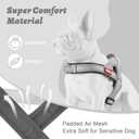 Escape-Proof Dog Harness Medium Size Dog Soft No Pull Padded Lightweight Reflective Adjustable Breathable Mesh Harness with Handle - Step in Medium Sized Vest Harness for Puppy, Gray, M