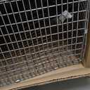 HAVAHART 1079SR Large 1-Door Humane Catch and Release Live Animal Trap Cage - Live Raccoon Trap, for Bobcats, Beavers, Dogs, & More