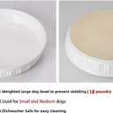 Fun Elements Shallow Dog Bowls, 8" Ceramic Dog Food Plate for Small and Medium Breeds, Non-Slip, Flat and Wide, Dishwasher Safe, Suitable for Puppies and Kittens (White)