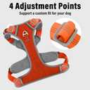 Plutus Pet No Pull Dog Harness, Release at Neck, Reflective Adjustable Dog Vest Harness, Easy Control Handle for Walking, for Small Medium Large Dogs, Orange, M