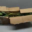 Nearly Natural 29in. Lotus Artificial Leaf (Set of 12)