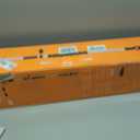 Worx Nitro 20V 8 '' cordless pole chainsaw 2.0 Ah battery and charger included WG349