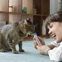 Churu Lickable Pure Natural Cat Treats (Tuna Recipe, 4 Tubes) (0.5 Ounce (Pack of 4))