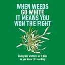 Roundup for Lawns Crabgrass Destroyer2, Tough Weed Killer, Kills Crabgrass, Foxtail, Goosegrass, Ready-to-Use, 64 oz.