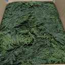 SHareconn 2 Pack 9FT Artificial Christmas Cedar Garland Decoration, Realistic Faux Cypress Greenery Garland for Winter Mantle Table Stairs Railing Fireplace Holiday Indoor Outdoor Decor, 9 FT