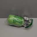 Hand Pump Sprayer 1/2 Gallon, Garden Pump Spray Bottle for Plants, Pressure Sprayer Bottle in Lawn and Garden Yard, Weed Chemical Sprayer with 2 Nozzle & Safety Pressure Relief Valve (2L/0.5Gal)