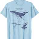 Humpack Whale Anatomy Marine Biology T-Shirt, Size S