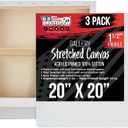 U.S. Art Supply 20"x20" Stretched Canvas for Painting, Gallery Depth 3-Pack