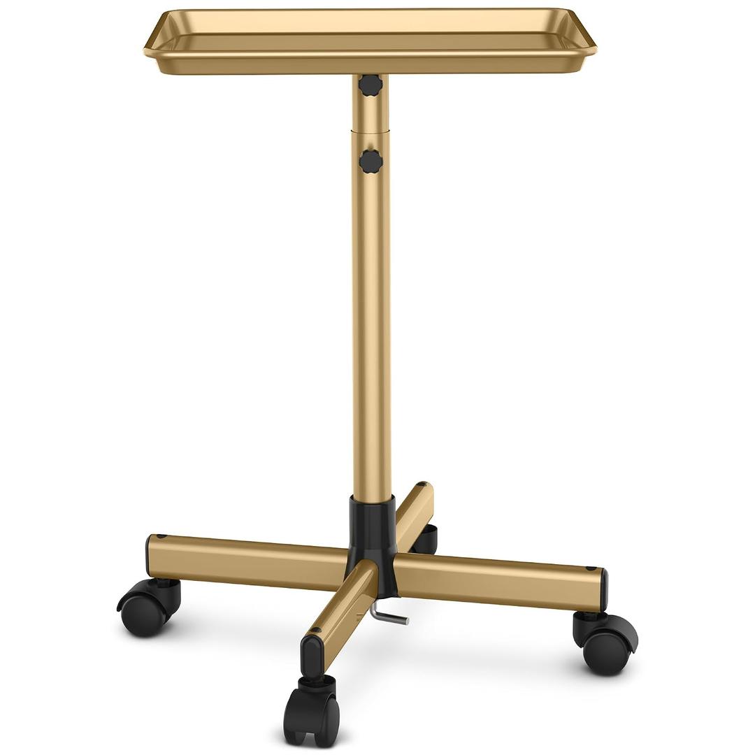 TASALON Premium Salon Tray on Wheels, Aluminum Salon Rolling Tray Trolley for Salon Essentials, Adjustable Height Provides Ample Storage for Hairstylist Tray, Tattoo Tray and Clinic Tray Use - Gloden