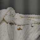 Bedsure GentleSoft White Throw Blanket for Couch - Cozy Soft Blankets for Women, Cute Small Fleece Throws for Girls, House Bedroom Decor Aesthetic Gift for Women, Off White, 50x70 Inches