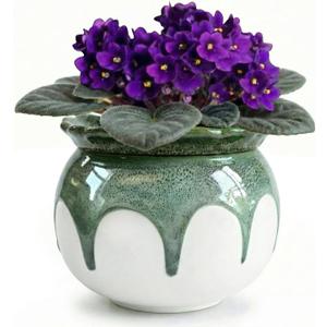 African Violet Pots, 6 Inch Self Watering Pots for Indoor Plants, Easy Plant Self Watering Planter, Ceramic Plant Pot with Absorbent Inner Pot for Flowers - Gradient Green (No Plants)