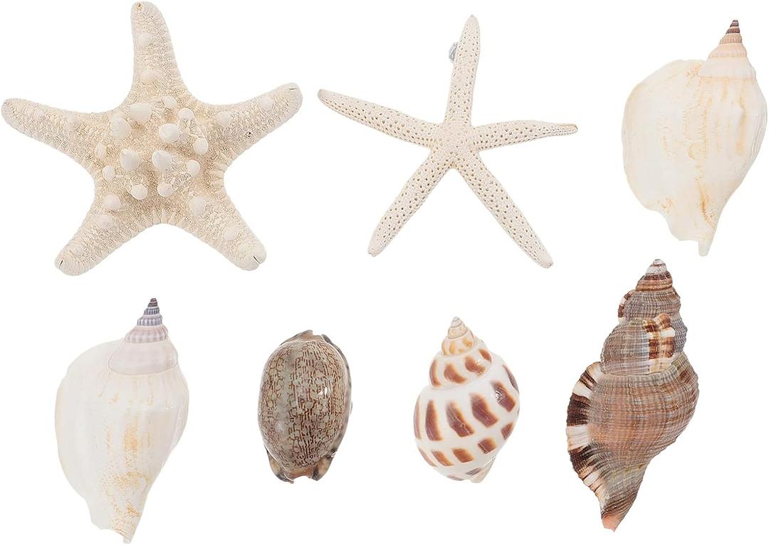 NUOBESTY Magnet Fridge 7PCS Refrigerator Beach Magnets 3D Seashell Conch Shape Sticker Nautical Refrigerator Whiteboard Locker for Home Kitchen Random Style Fridge Decor