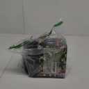 394 FT 1000 LED Christmas Lights Outdoor String Lights 8 Modes & Timer Fairy Lights Plug in Waterproof LED String Lights for Xmas Yard Tree Patio Wedding Holiday Party Decorations (Multicolor)