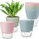 Hayder Plant Pots 6 inch Set of 6, Self Watering Flower Pots Indoor Outdoor, Self Watering Planters with Drainage Hole & Clear Saucer Reservoir