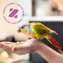 ZuPreem Smart Selects Pellets & Seed Blend, Daily Food for Cockatiel, Lovebird, Quaker, Conure, Lorikeet, Core Nutrition Food for Medium Birds, Essential Vitamins, Conure Feed (M, 2.5 lbs) (2.5 Pound (Pack of 1))