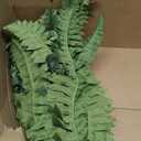 FOREST PRINCE 35" Ferns Artificial Bush Plants Large, 2 Artificial Boston Ferns with 39 Fronds for Outdoors Home Decor