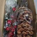 20 Pcs Artificial Christmas Flowers Bouquet Poinsettia Pine Cones Red Holly Berries Stems Floral Picks Branches for Christmas Tree Decoration Vase Crafts Holiday Wreath(Red, Green, White)