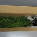 Nearly Natural 2ft. Norfolk Island Pine Natural Look Artificial Tree in Decorative Planter