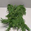 9FT Christmas Garlands Norfolk Pine Garland Real Touch Artificial Faux Greenery Garland for Holiday Indoor Outdoor Decor (9 ft (1 Pack- Young ))