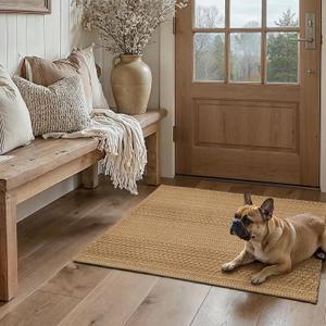 2x3 Textured Washable Entry Rug, Natural Woven Low-Profile Door Mat with Non-Slip TPR Backing, Light Light Brown, for Entryway, Kitchen, Laundry Room