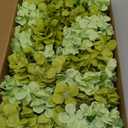 50 Pcs Faux Green Mix Hydrangea Artificial Flowers Bulk, Fake Silk Hydrangea Flowers Heads with Stems for Wedding Decorations Garden Party Baby Shower Porch Home Decor Table Centerpieces