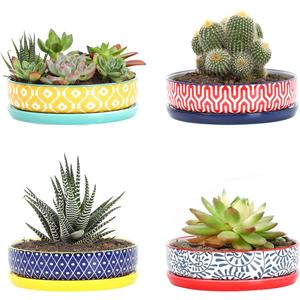 Selamica Ceramic Succulent Pots, Shallow Succulent Planters with Drainage Hole & Saucer, Indoor Plant Pots for Cactus, Home DecorAssorted Colors,6 inchSet of 4