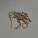 ACY Marine- Double Braided Nylon Dock Line - Boat Rope - Marine and Pontoon Accessories - Braided, Reinforced Boat Ropes and Ties for Docking - Stretch Resistant with 12 Spliced Loop for Mooring 1/2-Inch x 15-Feet, Gold/White