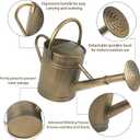 1 Gallon Galvanized Metal Watering Can, Retro Bronze Tone with Detachable Spout, Vintage Rustic Decorative Water Pot for Home Garden Indoor Outdoor Plants