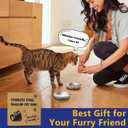 2-Pack Stainless Steel Cat Food Bowls, Shallow Whisker-Friendly Non-Slip Silicone Base Metal Dishes, Easy to Clean Indoor Water Flat Plates for Cat, Kitten, Small Dog (5.9")