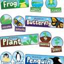 Carson Dellosa 55pc Bundle Life Cycles Biology Bulletin Board Set, Colorful Cardstock Plant and Animal Cards, Butterflies, Frogs, Penguin Cutouts, Science Teacher Supplies, Homeschool, Classroom Decor