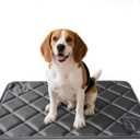 Dog Bed Mat, Soft Foam Kennel Pad Washable Pet Dog Crate Pad with Anti-Slip Bottom for Small/Medium Dogs, Black 31"x20"