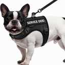 FAYOGOO Service Dog Vest for Small Dogs - Air Mesh Breathble Emotional Support Animal Vest with DIY Removable Patches - Puppy Harness and Leash Set Adjustable Neck and Chest (XS, Black)