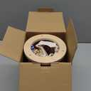 Nene Toys BALLFALL Jumbo  Montessori Wooden Board Game for Kids 3 4 5 6 Years  Colorful Sticks, Dice & Cards  Fine Motor Skills Toy, Math & Counting Game  Educational Gift for Boys Girls Ages 3-9