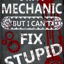 Funny Vintage Sign I'm A Mechanic But I Can't Fix Stupid Aluminum Metal Tin Sign 12 x 8 Inches For Man Cave Garage Kitchen Bar Pub Restaurant Home Wall Decor
