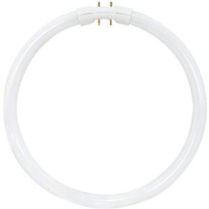 Satco S8155 3000K 22-Watt 2GX13 T5 Circline High Performance Lamp, Warm White