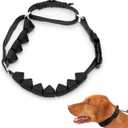 PetSafe Soft Point Training Collar - Helps Stop Pulling - Safer Than Prong or Choke Collars - Teaches Better Leash Manners - No Pull Training Collar with Rubber Points for Dogs - Medium, Black