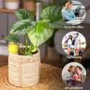 8Pcs Terracotta Self Watering Devices Premium Self Ceramic,Automatic Watering Water Seepage Device for Vacation Care,Garden/Office/Outdoor/Indoor Plant Decoration