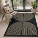 Lahome Modern Rainbow Easy Jute 4x6 Rug, Outdoor Patio Rug for Living Room Washable Black Carpet for Bedroom, Contemporary Non Slip Non Shedding Floor Carpet for Office Backyard (Dark Grey/Charcoal Black)