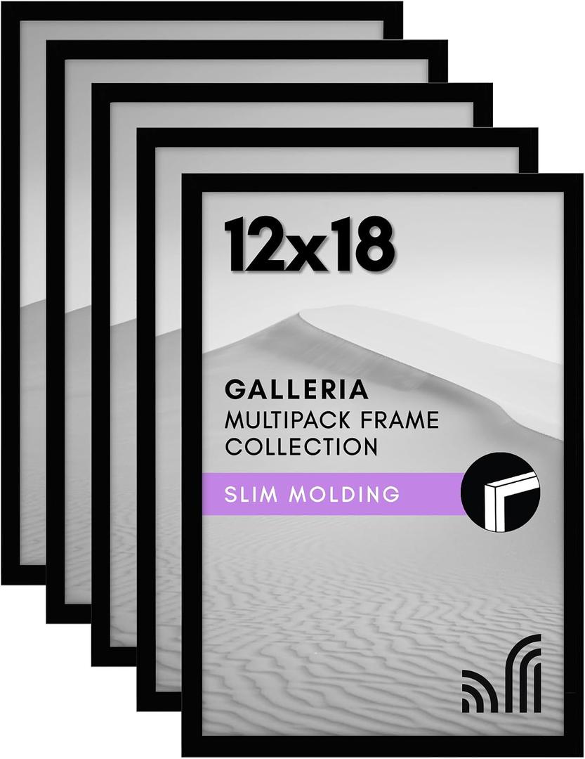 Americanflat 12x18 Poster Frame with Polished Plexiglass - Set of 5 - Galleria Collection - Picture Frames for Wall Display - Black
