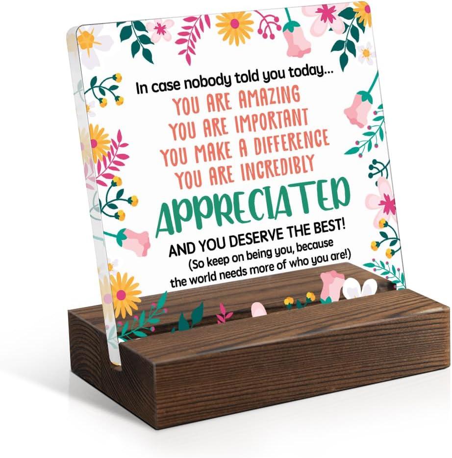 You Are Incredibly Appreciated Acrylic Sign with Wooden Stand, Appreciation Gift for Colleague, Cheer Up Gift for Friend Daughter Sister, Thank You Gift for Coworker, Office Gift for Colleague (SYB067)