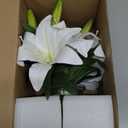 Artificial Flowers Tiger Lily Real Touch with Vase Easter Lily White Lilies Silk Faux Flowers Arrangements in Glass Vase with Faux Water Easter Decor Fake Floral Bulk Bouquet for Office Home Decor